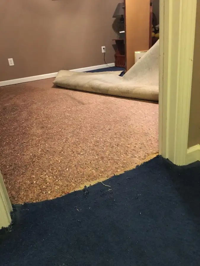 Carpet pad removal revealing water damage during Water Mitigation Services in Brook Park