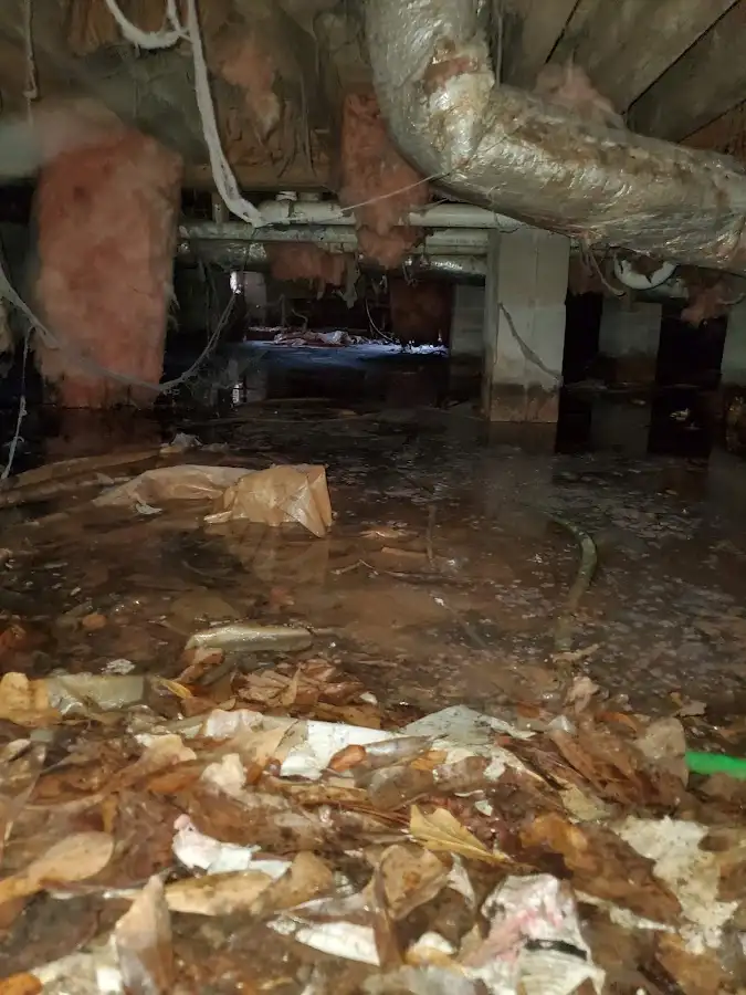 Crawl space flood assessment for Leak Detection & Repair in Brook Park